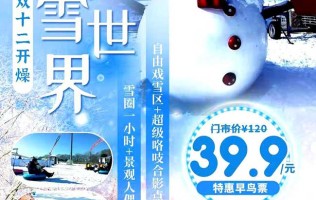 【北京】早鸟预售！39.9元双12开燥！！北京水奥雪世界！打卡超级咯吱合影点，畅玩雪圈一小时，还有众多项目就等你！
