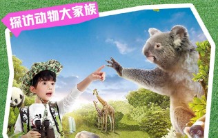 【2024上半年】广州长隆野生动物世界2大1小家庭票（1.1-6.30）（购买截止时间6.30）