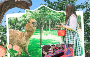 【南京】南京森林大世界¥29.9嗨玩，含单人大门票 自然课堂 玩50多项游玩，600余亩亲子乐园